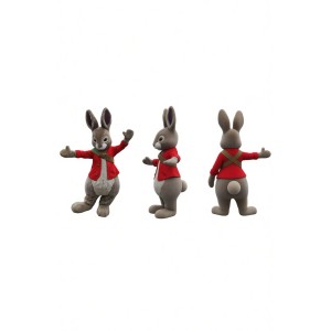 Peter Rabbit Easter Bunny Mascot Costume