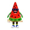 Adorable Watermelon Mascot Costume for Events Promotions