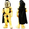 School Golden Knight Mascot Costume