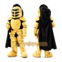 School Golden Knight Mascot Costume