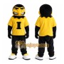 University of Iowa Herky Mascot Costume