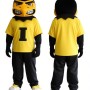 University of Iowa Herky Mascot Costume