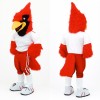 Red Arizona Cardinals Mascot Costume
