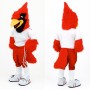 Red Arizona Cardinals Mascot Costume