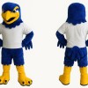 Sport Blue Hawk Ealge Mascot Costume