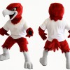 Sport Red Hawk Ealge Mascot Costume