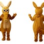 Aardvark Anteaters Mascot Costume