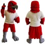 Red Hawk Eagle Mascot Costume