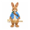 Easter Bunny Peter Rabbit Mascot Costume Easter Bunny Peter Rabbit Mascot Costume