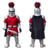 Sword Knight Mascot Costume