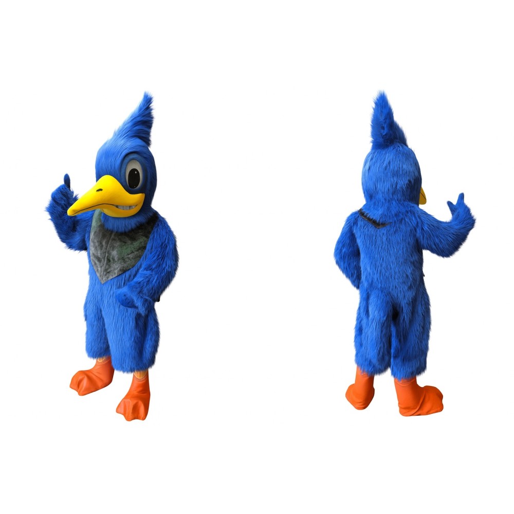 Blue Jay Mascot Costume