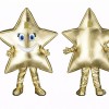 Gold Star Mascot Costume