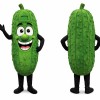 Funny Pickle Mascot Costume