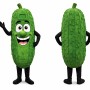 Funny Pickle Mascot Costume