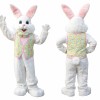 Vest Easter Bunny Mascot Costume