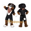Bernese Mountain Dog Mascot Costume