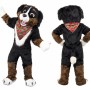 Bernese Mountain Dog Mascot Costume