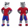 Sports Wolf Mascot Costume