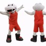 Sport Snake Mascot Costume