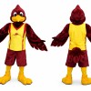 Sport Falcon Mascot Costume