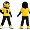 Yellow School Hawk Mascot Costume
