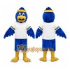 School Blue Jay Mascot Costume School Blue Jay Mascot Costume