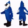 Blue Jay Bird Mascot Costume Adult