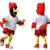 Red Bird Mascot Costume Adult