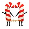 Adult Candy Cane Costume