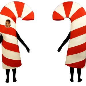Adult Candy Cane Costume