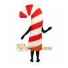 Adult Candy Cane Costume