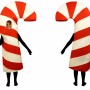 Adult Candy Cane Costume