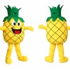 Pineapple Mascot Costume Adult