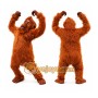 Orangutan Mascot Costume Adult