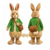 Peter Rabbit Mascot Costume Adult Peter Rabbit Mascot Costume Adult