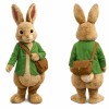 Peter Rabbit Mascot Costume Adult