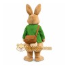 Peter Rabbit Mascot Costume Adult Peter Rabbit Mascot Costume Adult