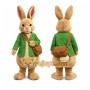 Peter Rabbit Mascot Costume Adult