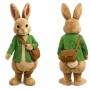 Peter Rabbit Mascot Costume Adult
