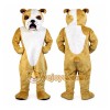Bulldog Mascot Costume Adult Bulldog Mascot Costume Adult