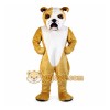 Bulldog Mascot Costume Adult Bulldog Mascot Costume Adult