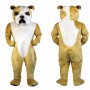 Bulldog Mascot Costume Adult