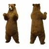 Bear Mascot Costume Adult