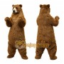 Bear Mascot Costume Adult