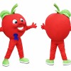 Apple Mascot Costume Adult