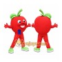 Apple Mascot Costume Adult