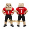 Bulldog Mascot Costume Bulldog Mascot Costume