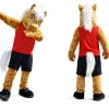 Horse Sports Mascot Costume