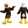 Eagle Mascot Costume