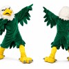 Green Eagle Mascot Costume